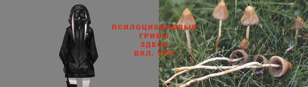соль курить ск Алексеевка