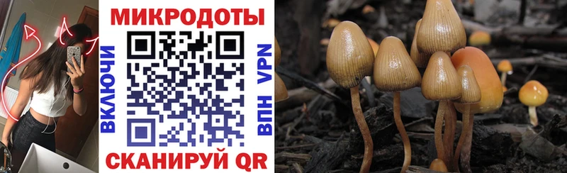 Псилоцибиновые грибы ЛСД  Болхов 